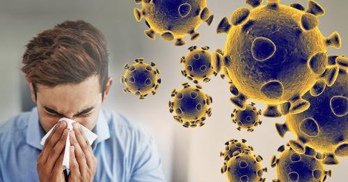 Cảm lạnh: Nguyên nhân, triệu chứng, phương pháp điều trị và cách phòng ngừa 14 Virus gây cảm lạnh