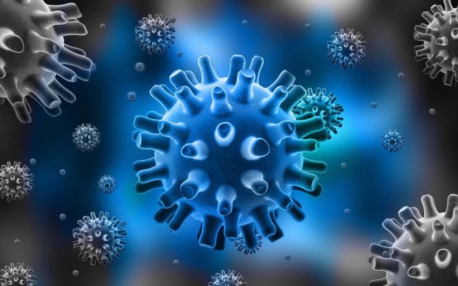 Virus Herpet