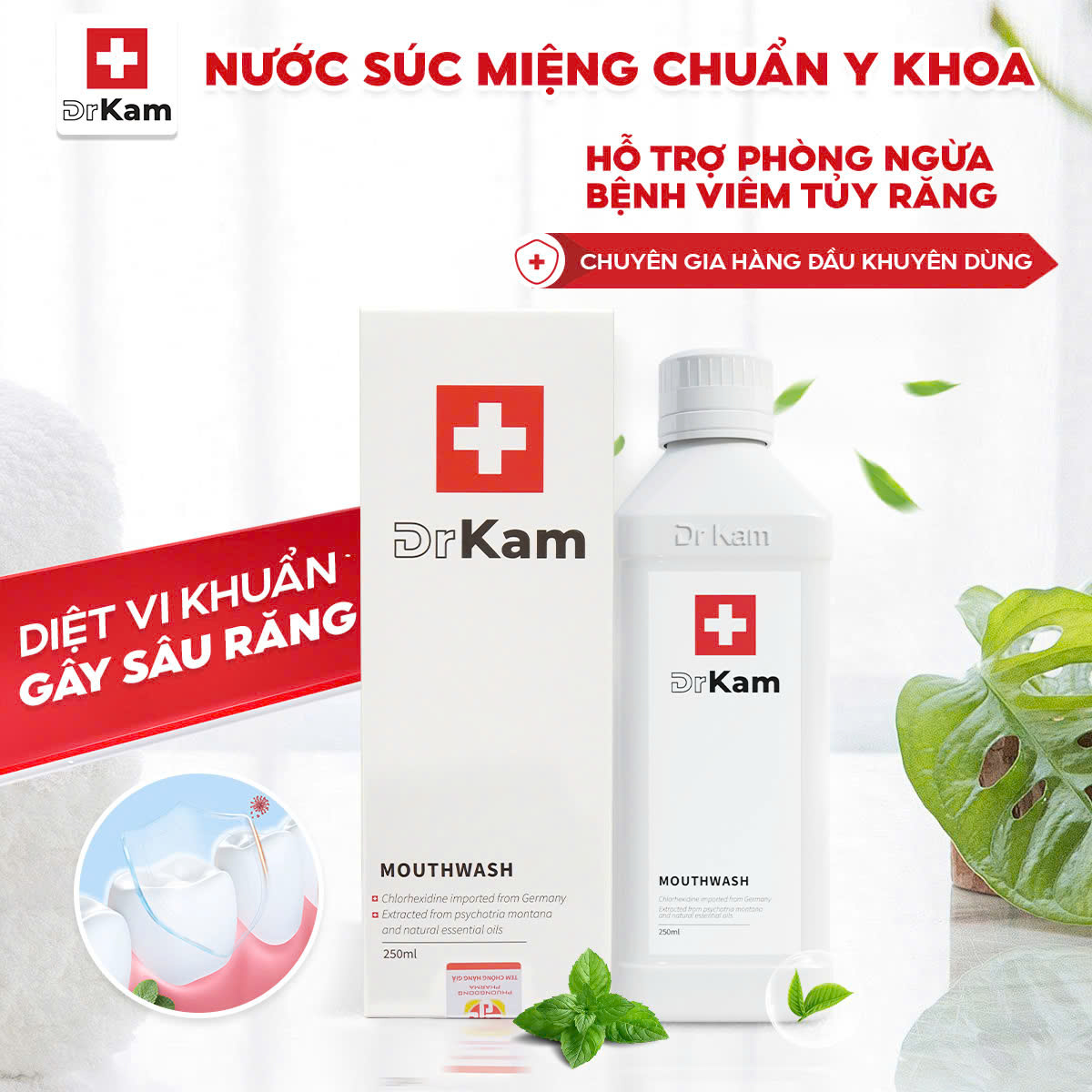 qc tuy rang