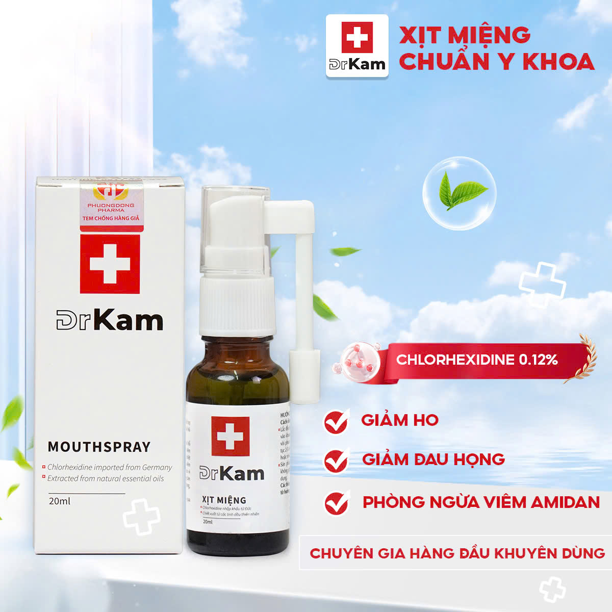 viem hong 2