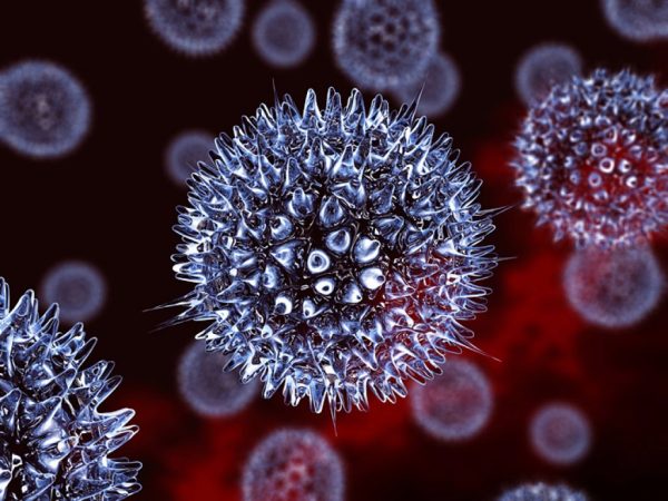 Virus herpes 
