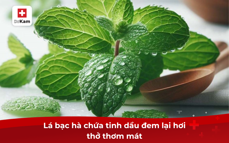 Lá bạc hà