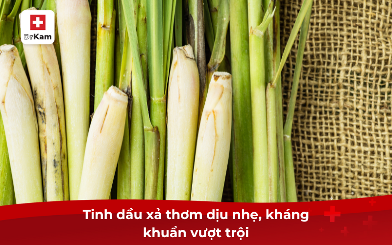 Lá cây xả