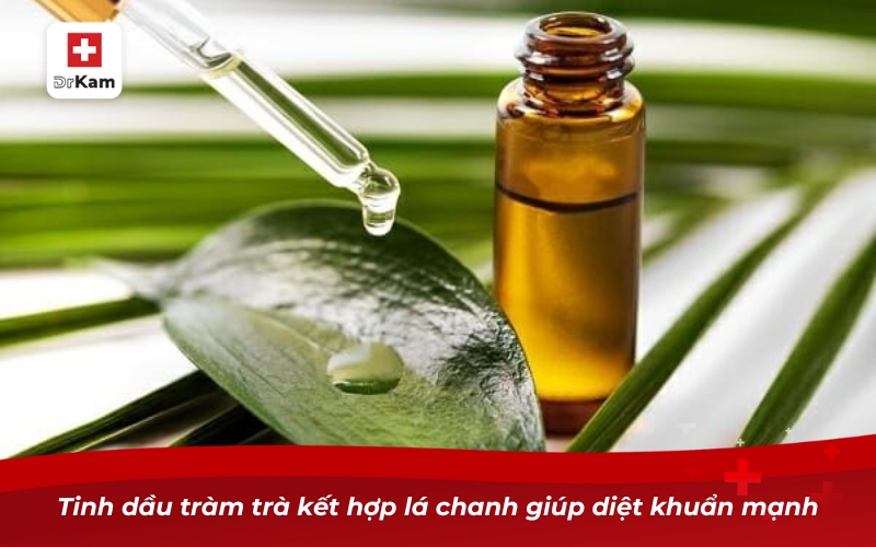 Những cách làm nước súc miệng bằng lá chanh cực hiệu quả 11 Tinh dầu tràm trà kết hợp lá chanh giúp diệt khuẩn mạnh