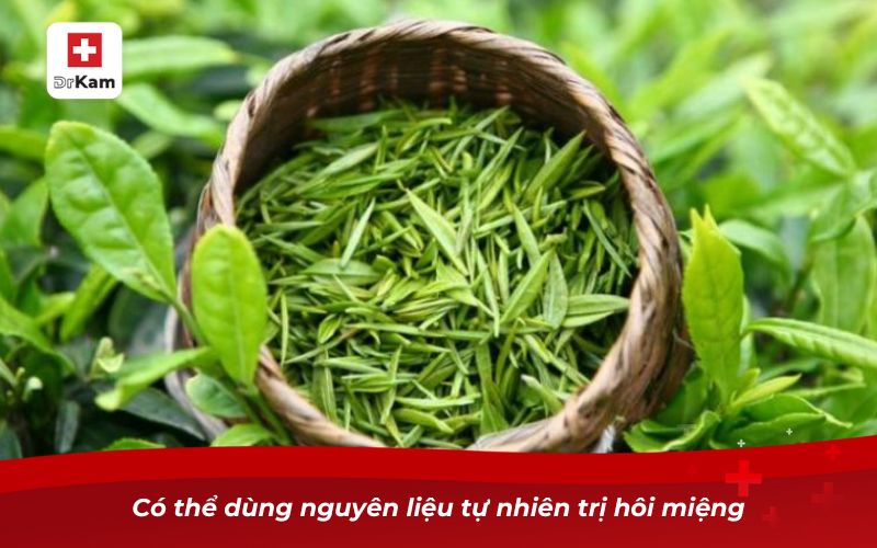 Những cách làm nước súc miệng chữa hôi miệng hiệu quả 10 Có thể dùng nguyên liệu tự nhiên trị hôi miệng