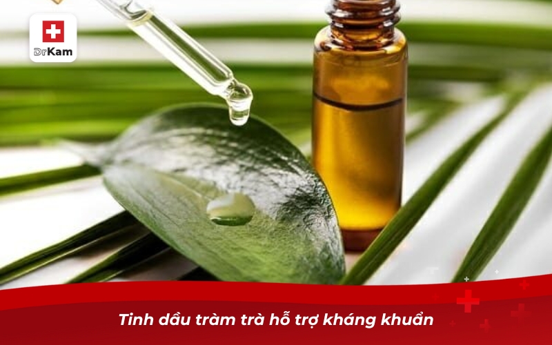 Tinh dầu tràm trà hỗ trợ kháng khuẩn