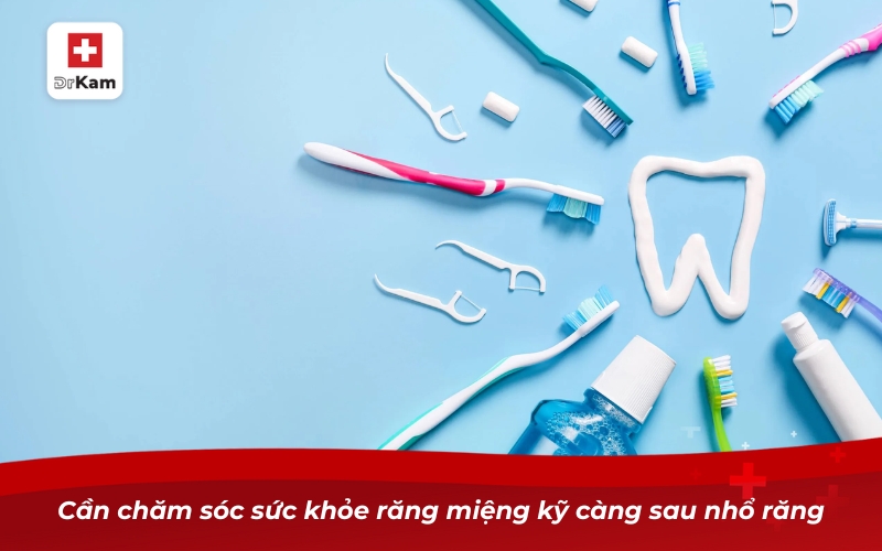 Khám phá Top 10 nước súc miệng sau nhổ răng hỗ trợ hồi phục 17 Cần chăm sóc sức khỏe răng miệng kỹ càng sau nhổ răng
