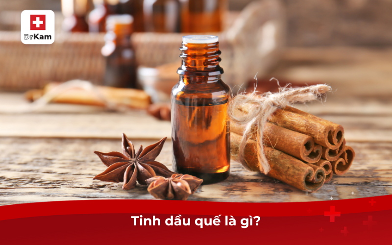 Tìm hiểu về tinh dầu quế và tác dụng đối với sức khỏe 6 Tinh dầu quế là gì?
