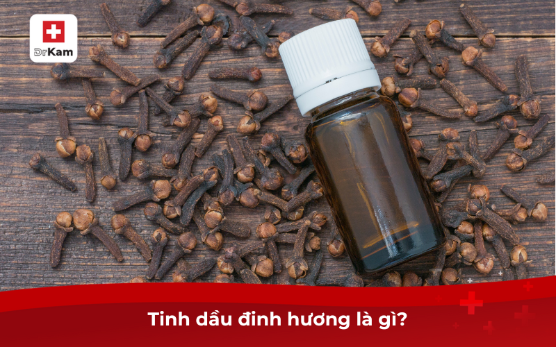 Công dụng và cách sử dụng tinh dầu đinh hương hiệu quả 6 Tinh dầu đinh hương là gì?