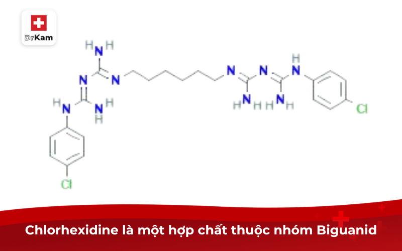 Chlorhexidine là gì? Tác dụng và những lưu ý khi sử dụng 6 Chlorhexidine là một hợp chất thuộc nhóm Biguanid