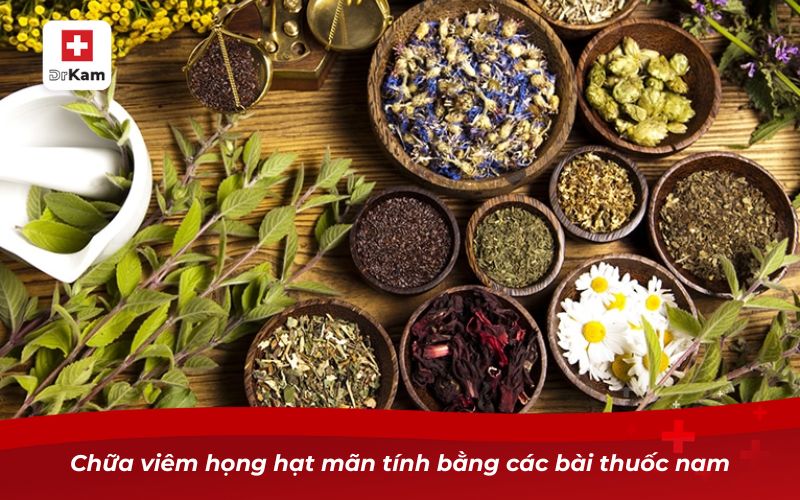 Những bài thuốc nam chữa viêm họng hạt mãn tính 12 Chữa viêm họng hạt mãn tính bằng các bài thuốc nam