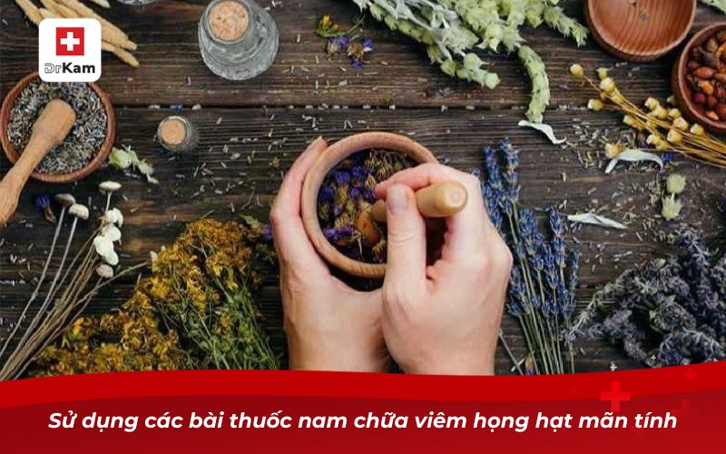 Những bài thuốc nam chữa viêm họng hạt mãn tính 16 Sử dụng các bài thuốc nam chữa viêm họng hạt mãn tính