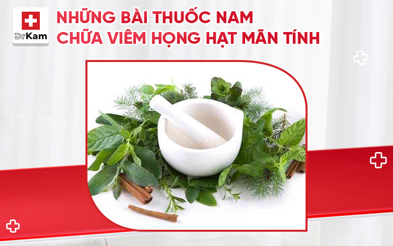 bai thuoc nam chua viem hong hat man tinh thumbnail