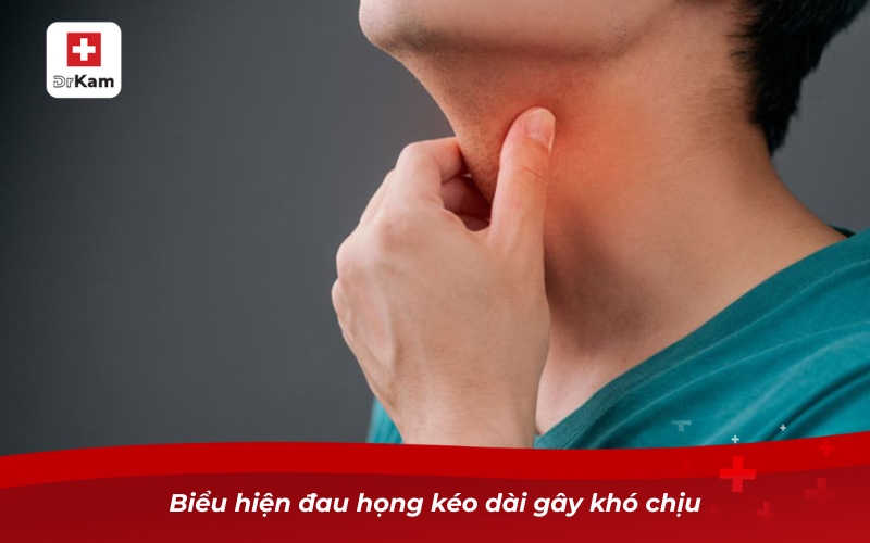 Biểu hiện viêm họng hạt - Hướng dẫn nhận biết và điều trị 11 Biểu hiện đau họng kéo dài gây khó chịu