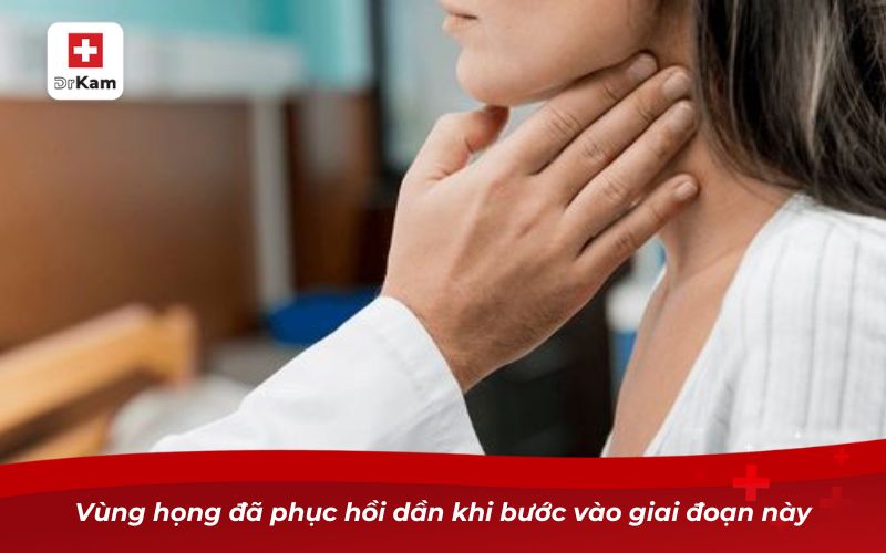 Các Dấu Hiệu Viêm Họng Bạn Nên Biết 11 Vùng họng đã phục hồi dần khi bước vào giai đoạn này