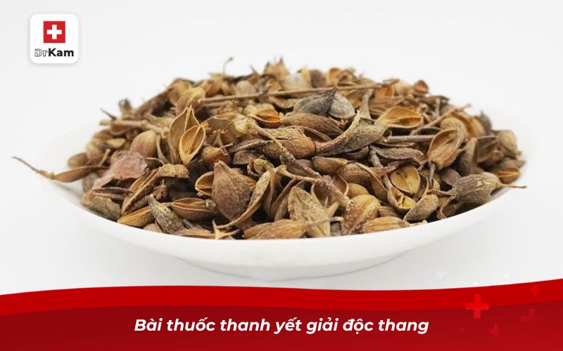 Bài thuốc thanh yết giải độc thang
