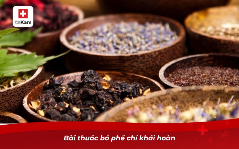 Bài thuốc bổ phế chỉ khái hoàn