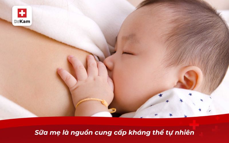 Cách chữa viêm họng cho trẻ sơ sinh tại nhà an toàn 9 Sữa mẹ là nguồn cung cấp kháng thể tự nhiên