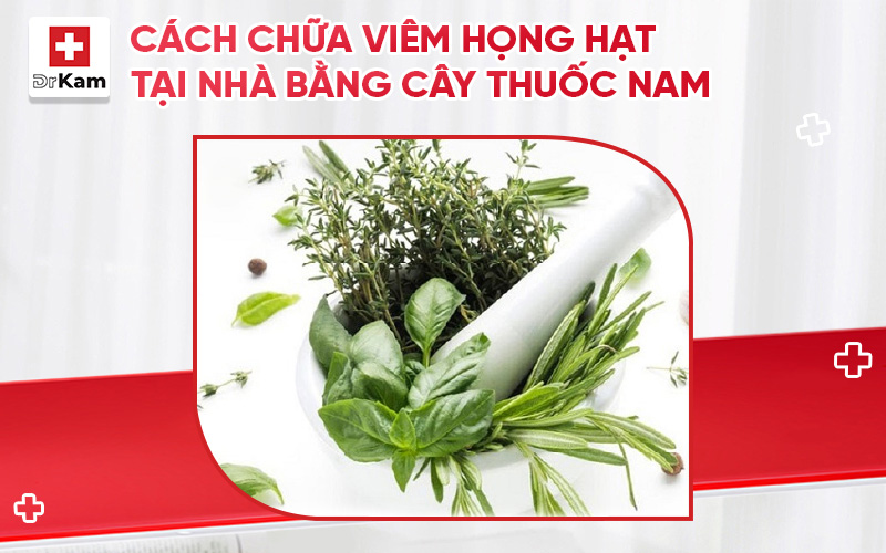 cach chua viem hong hat tai nha thumbnail