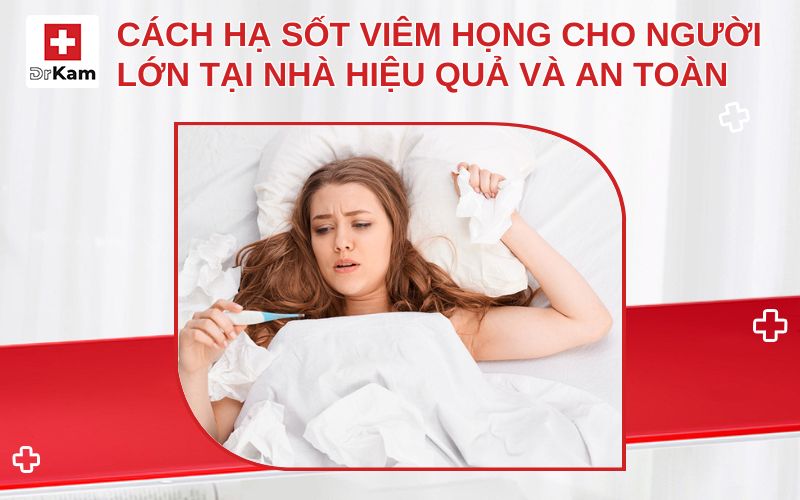 cach ha sot viem hong cho nguoi lon thumbnail