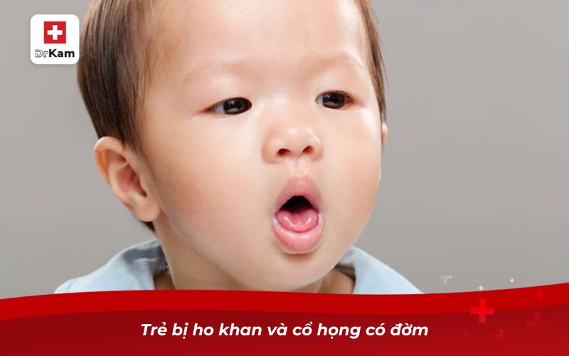 Cách nhận biết bé bị viêm họng chuẩn xác nhất 12 Trẻ bị ho khan và cổ họng có đờm