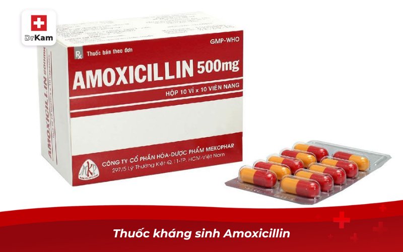 Các phương pháp điều trị viêm họng bằng thuốc tốt nhất 9 Thuốc kháng sinh Amoxicillin