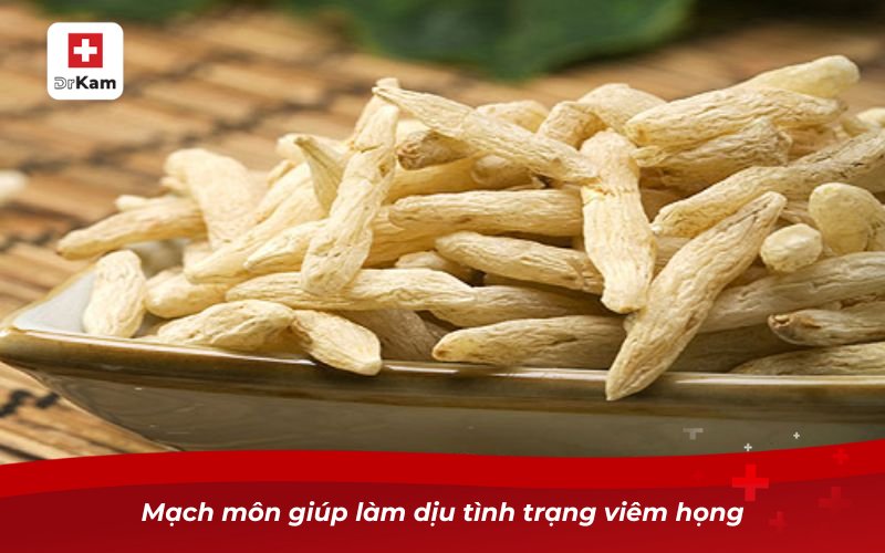 Các phương pháp điều trị viêm họng bằng thuốc tốt nhất 14 Mạch môn giúp làm dịu tình trạng viêm họng