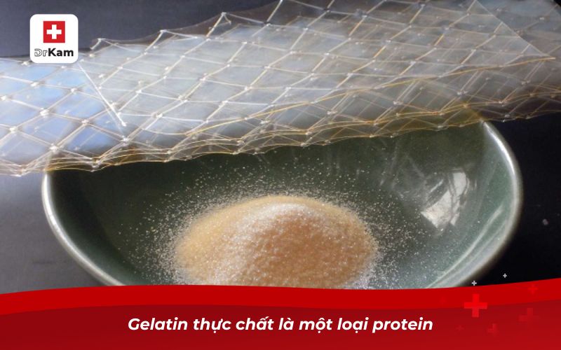 Gelatin – Thành phần tự nhiên hỗ trợ răng miệng khỏe mạnh 7 Gelatin thực chất là một loại protein