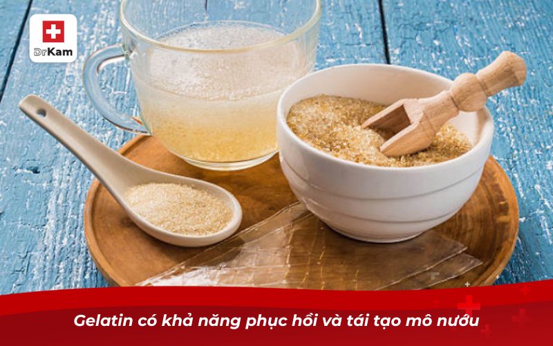 Gelatin – Thành phần tự nhiên hỗ trợ răng miệng khỏe mạnh 8 Gelatin có khả năng phục hồi và tái tạo mô nướu