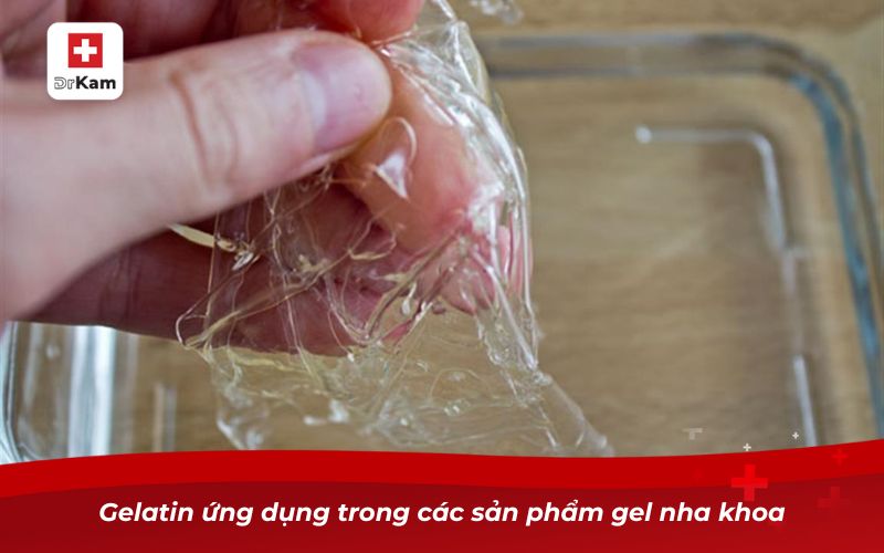 Gelatin – Thành phần tự nhiên hỗ trợ răng miệng khỏe mạnh 11 Gelatin ứng dụng trong các sản phẩm gel nha khoa
