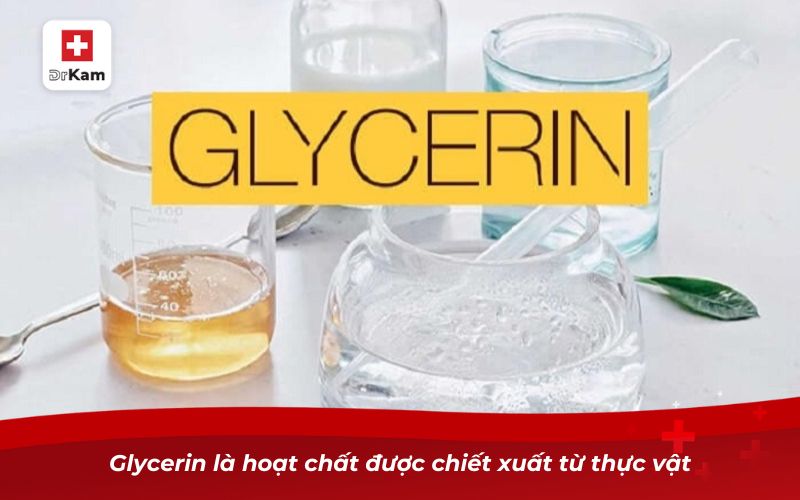 Glycerin – Hoạt chất chăm sóc sức khỏe răng miệng đa năng 7 Glycerin là hoạt chất được chiết xuất từ thực vật