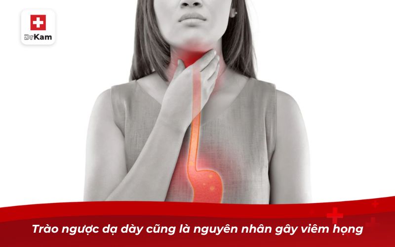 Nguyên nhân gây viêm họng và cách phòng ngừa hiệu quả 9 Trào ngược dạ dày cũng là nguyên nhân gây viêm họng