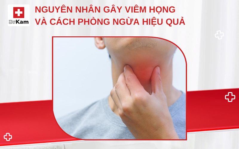 nguyen nhan gay viem hong thumbnail