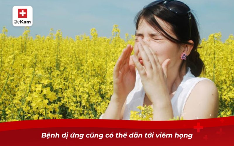 Top 10 Nguyên nhân viêm họng hạt phổ biến 10 Bệnh dị ứng cũng có thể dẫn tới viêm họng