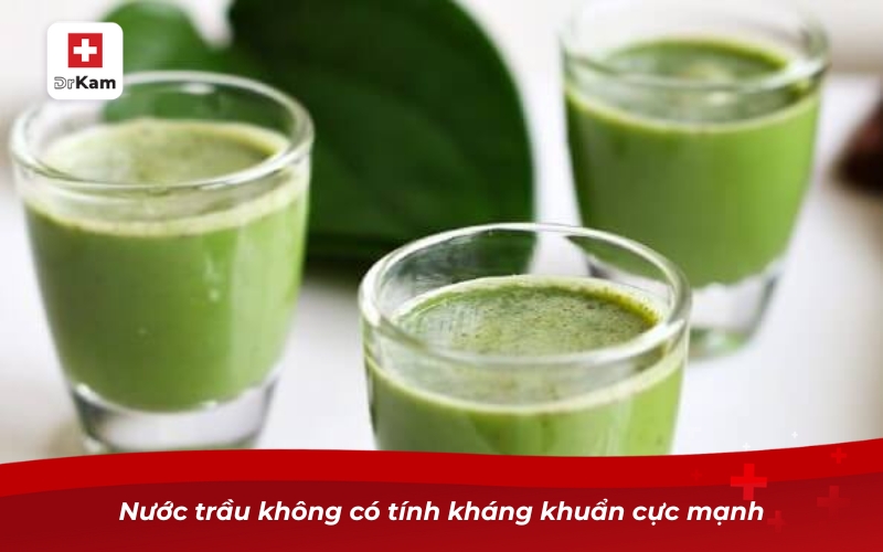 Nước súc miệng trầu không - Bí quyết cho nụ cười sáng khỏe 7 Nước trầu không có tính kháng khuẩn cực mạnh