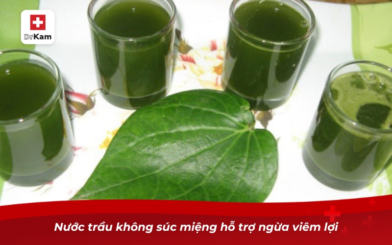 Nước súc miệng trầu không - Bí quyết cho nụ cười sáng khỏe 8 Nước trầu không súc miệng hỗ trợ ngừa viêm lợi