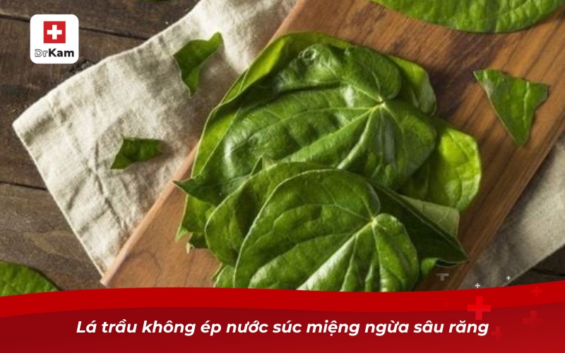 Nước súc miệng trầu không - Bí quyết cho nụ cười sáng khỏe 9 Lá trầu không ép nước súc miệng ngừa sâu răng
