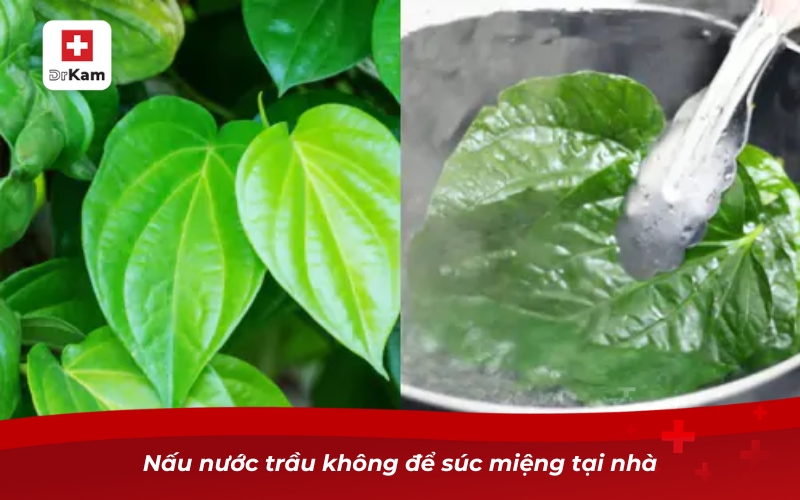 Nước súc miệng trầu không - Bí quyết cho nụ cười sáng khỏe 10 Nấu nước trầu không để súc miệng tại nhà