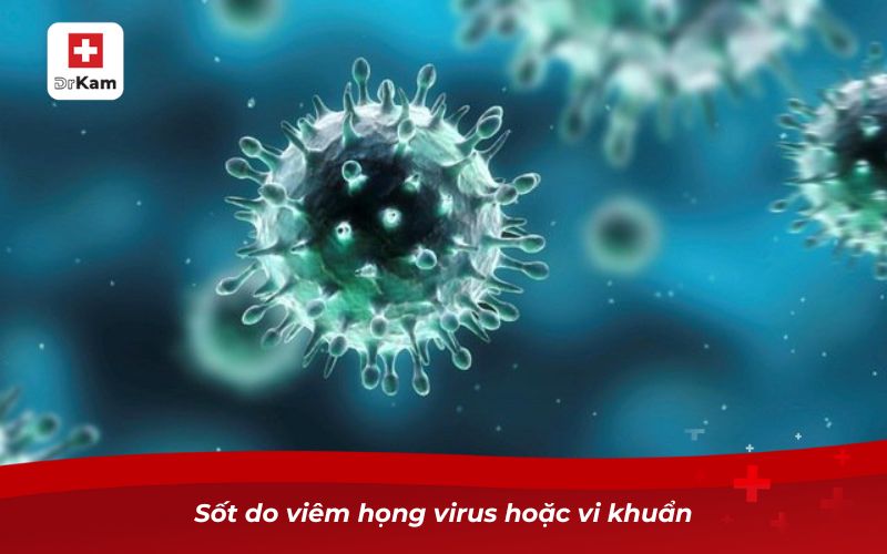 Bị sốt viêm họng bao lâu thì khỏi bệnh? 8 Sốt do viêm họng virus hoặc vi khuẩn