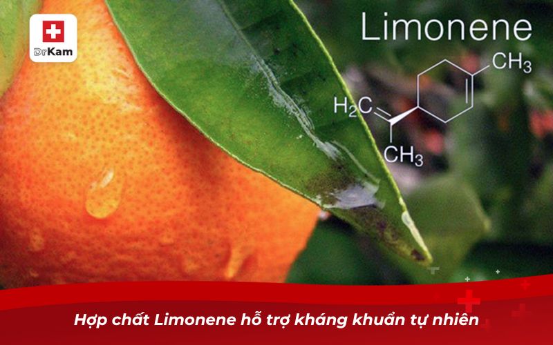Tinh dầu cam – Bí quyết chăm sóc sức khỏe răng miệng hiệu quả 9 Hợp chất Limonene hỗ trợ kháng khuẩn tự nhiên