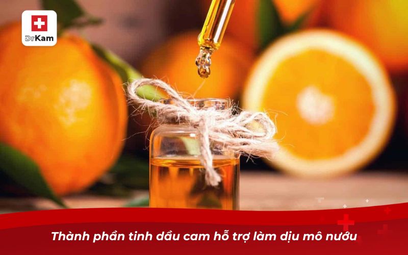 Tinh dầu cam – Bí quyết chăm sóc sức khỏe răng miệng hiệu quả 10 Thành phần tinh dầu cam hỗ trợ làm dịu mô nướu