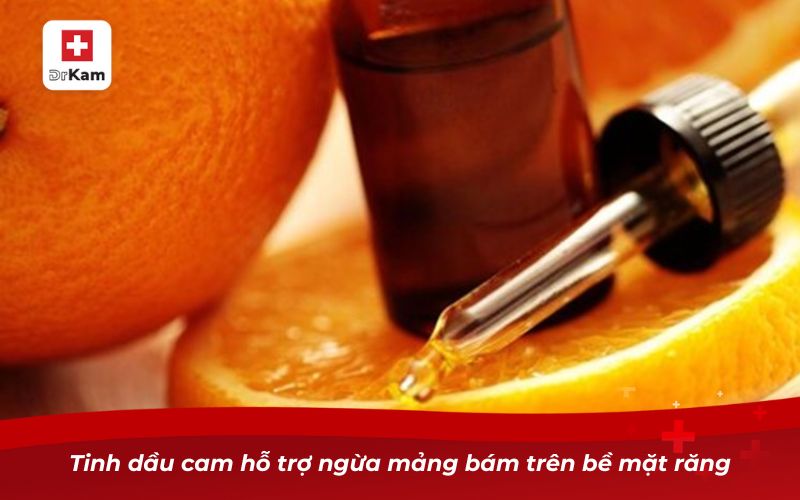 Tinh dầu cam – Bí quyết chăm sóc sức khỏe răng miệng hiệu quả 12 Tinh dầu cam hỗ trợ ngừa mảng bám trên bề mặt răng