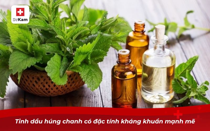 Tinh dầu húng chanh – Giải pháp chăm sóc răng miệng tự nhiên 8 Tinh dầu húng chanh có đặc tính kháng khuẩn mạnh mẽ