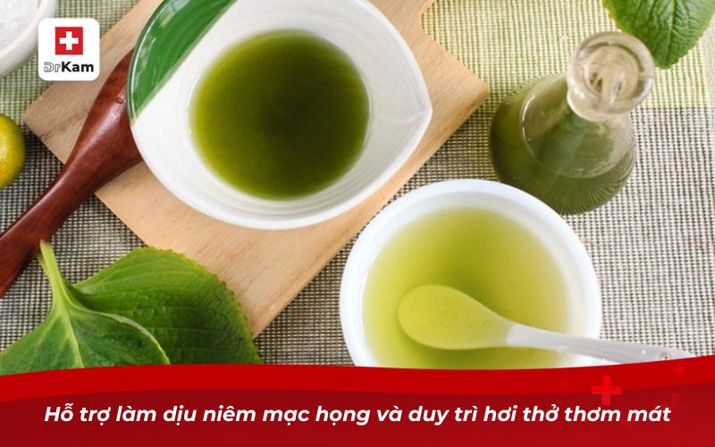 Tinh dầu húng chanh – Giải pháp chăm sóc răng miệng tự nhiên 10 Hỗ trợ làm dịu niêm mạc họng và duy trì hơi thở thơm mát