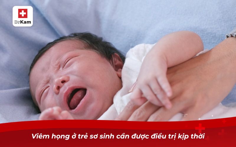Những điều cần biết khi trẻ sơ sinh bị viêm họng 7 Viêm họng ở trẻ sơ sinh cần được điều trị kịp thời