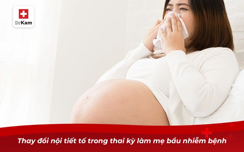 Hướng dẫn trị viêm họng cho mẹ bầu hiệu quả và an toàn 8 Thay đổi nội tiết tố trong thai kỳ làm mẹ bầu nhiễm bệnh