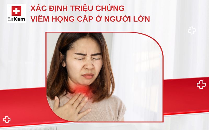trieu chung viem hong cap o nguoi lon thumbnail
