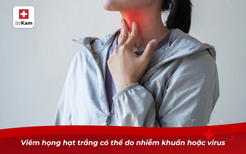 Nhận diện viêm họng hạt trắng và biện pháp điều trị 9 Viêm họng hạt trắng có thể do nhiễm khuẩn hoặc virus