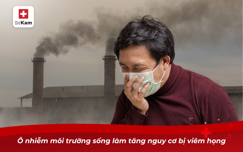 Nhận diện viêm họng hạt trắng và biện pháp điều trị 10 Ô nhiễm môi trường sống làm tăng nguy cơ bị viêm họng