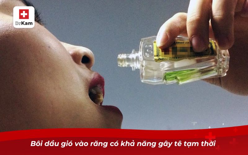 Bôi dầu gió vào răng có khả năng gây tê tạm thời 